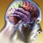 Tratamiento de fisioterapia en personas con Traumatismo Craneoencefálico